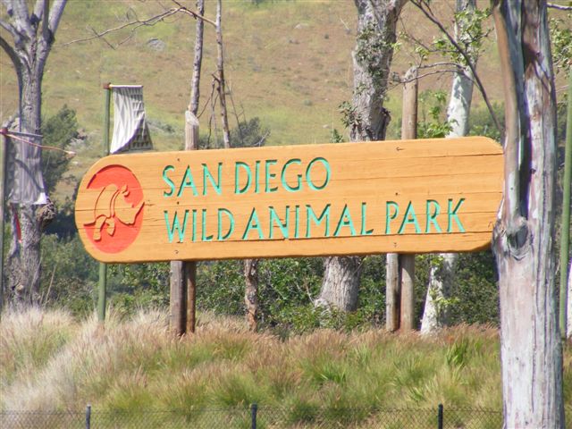 38 San Diego's Wild Animal Park.JPG